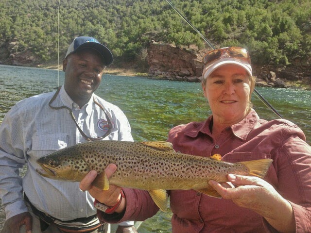 Green river Brown trout Green river fly fishing guides with trophy wild brown trout ready to br safely released back into the green river.