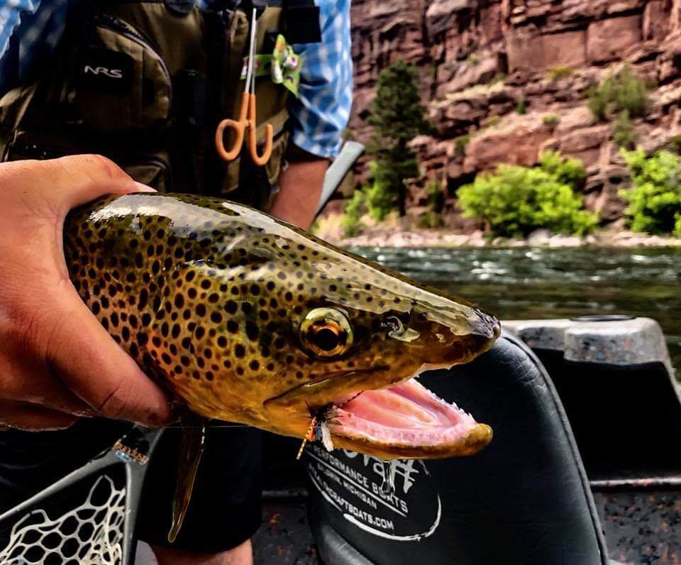 33813097_1790036374352324_238438270533369856_n Fishing Guides