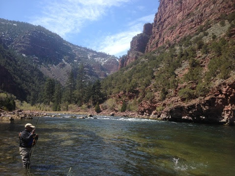 IMG_75791 Green river fly fishing guides with trophy wild brown trout ready to br safely released back into the green river.