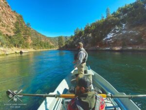 Huge Brown Trout is safely released from fishing guide drift boat back into the green river by Dutch John resort.