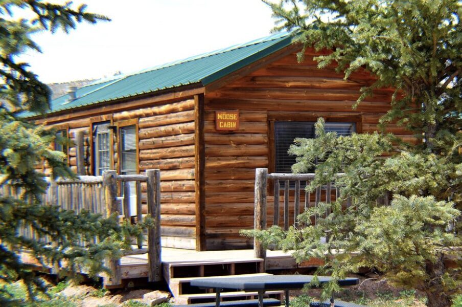 Screenshot Cabin Parent Draft